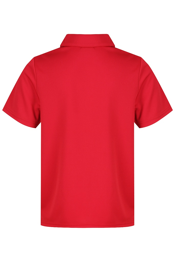 AP3307 - BOTANY KIDS POLOS - N3307 - 2.jpg