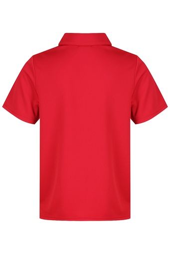 AP3307 - BOTANY KIDS POLOS - N3307 - 2.jpg