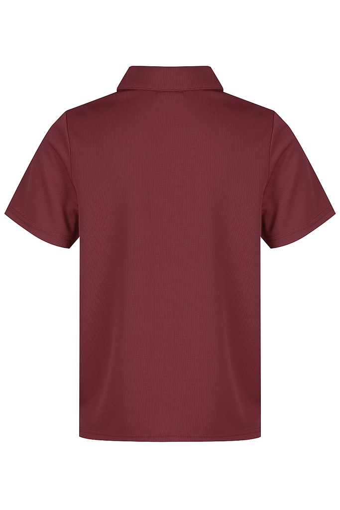 AP3307 - BOTANY KIDS POLOS - N3307 - 2.jpg