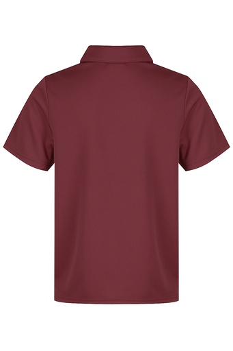 AP3307 - BOTANY KIDS POLOS - N3307 - 2.jpg