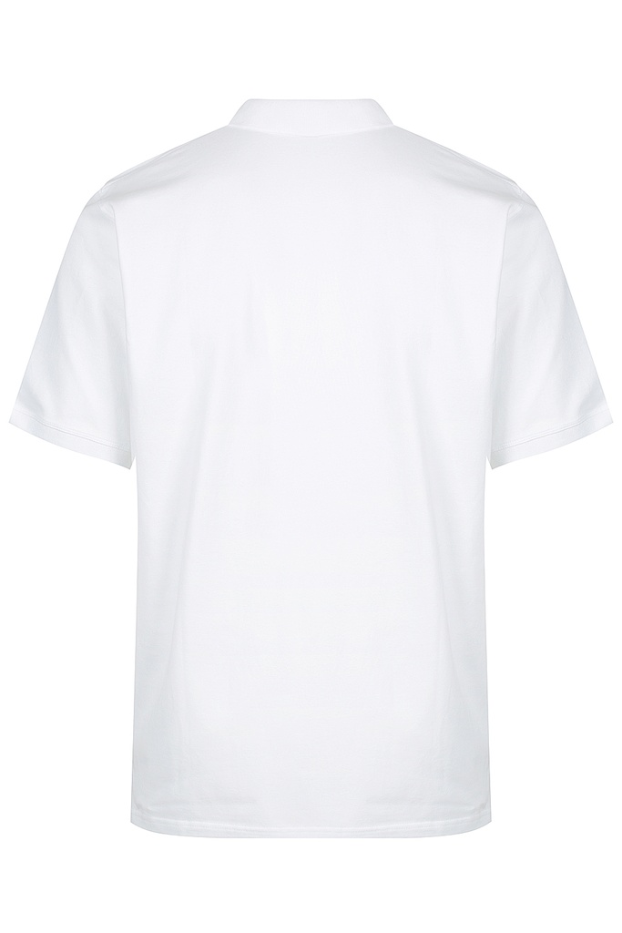 AP1315 - CLAREMONT MENS POLOS - N1315 - 2.jpg