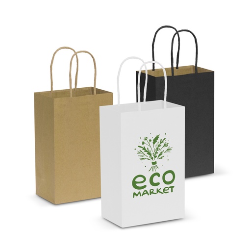 TR107582 - Paper Carry Bag - Small - 2.jpg