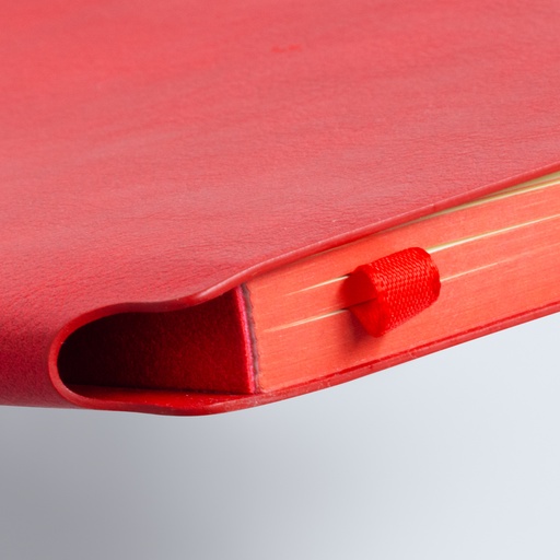 TR111460 - Demio Notebook - Medium - 9.jpg