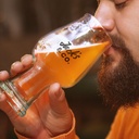 TR120633 - Luigi Bormioli Birratique Beer Glass - 4.jpg