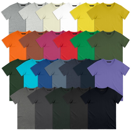 TR121390 - TRENDSWEAR Original Adult T-Shirt - 29.jpg