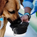 TR123710 - Silicone Collapsible Pet Bowl - 8.jpg