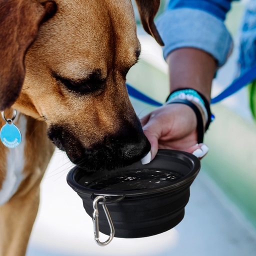 TR123710 - Silicone Collapsible Pet Bowl - 8.jpg