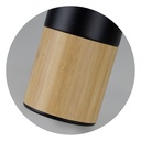 TR124012 - Mica Vacuum Bottle - 7.jpg