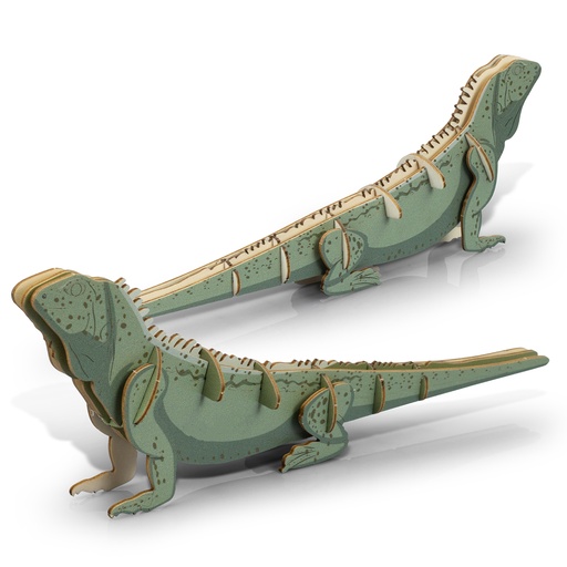 TR124046 - BRANDCRAFT Tuatara Wooden Model - 5.jpg
