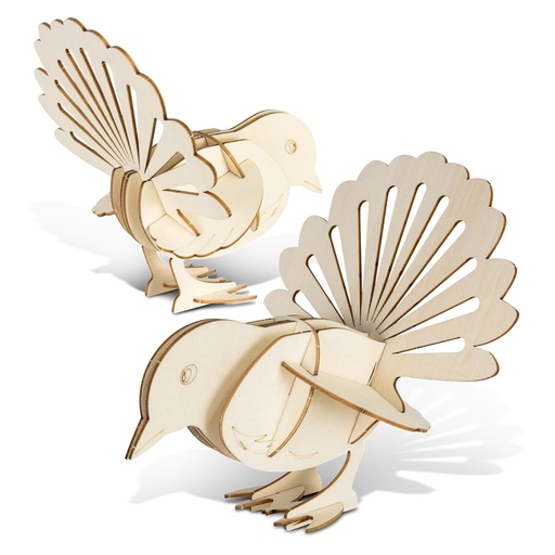 TR124050 - BRANDCRAFT Fantail Wooden Model - 3.jpg