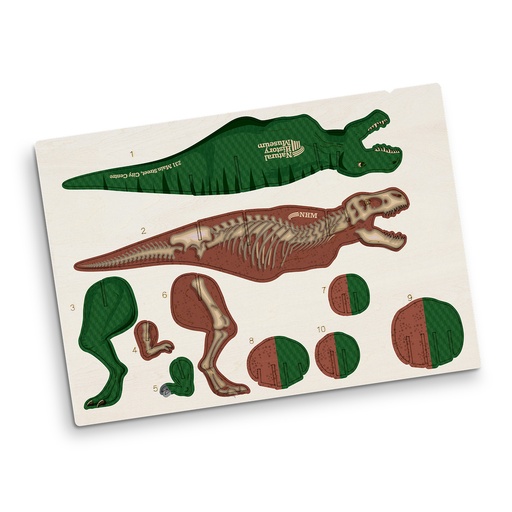 TR124055 - BRANDCRAFT Tyrannosaurus Rex Wooden Model - 6.jpg