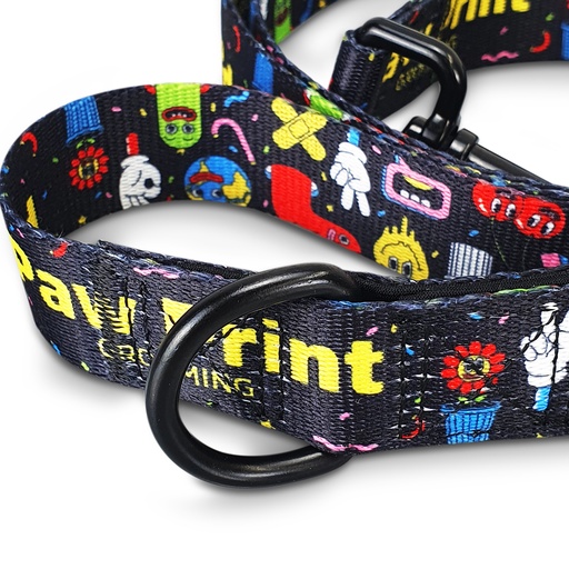 TR125069 - Amigo Dog Leash - 4.jpg