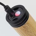 TR126810 - Lumina Rechargeable Bamboo Torch - 7.jpg