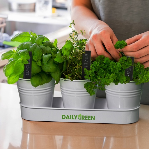 TR126961 - Keepsake Herb Planter - 4.jpg