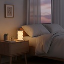 TR129245 - Luma Foldable Lantern - 8.jpg