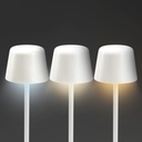 TR129643 - Ember Rechargeable Table Lamp - 9.jpg