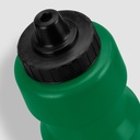 TR126701 - Sprits Bottle - 14.jpg