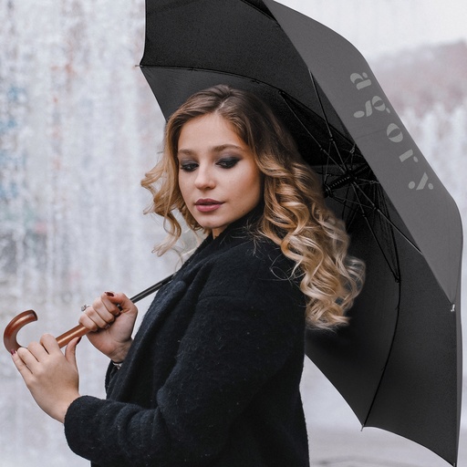 TR202702 - Executive Umbrella - 3.jpg