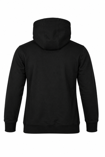 AP1533 - BRUNSWICK MENS HOODIES - 1533 - 3.png