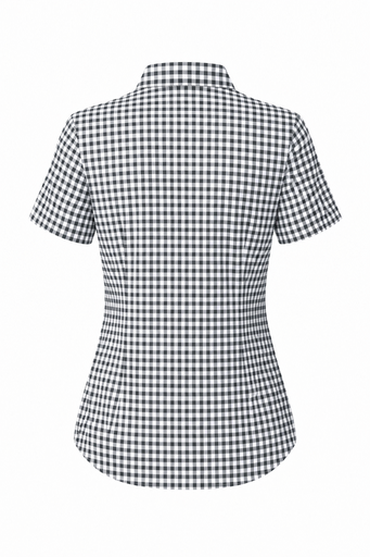 AP2909S - BRIGHTON LADY SHIRT SHORT SLEEVE - 2909S - 3.png