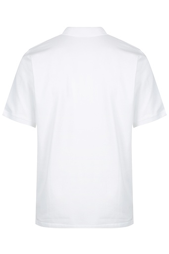 AP1315 - CLAREMONT MENS POLOS - 1315 - 3.jpg