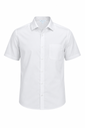 AP1910S - KINGSWOOD MENS SHIRT SHORT SLEEVE - 1910S - 2.png