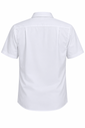 AP1910S - KINGSWOOD MENS SHIRT SHORT SLEEVE - 1910S - 3.png