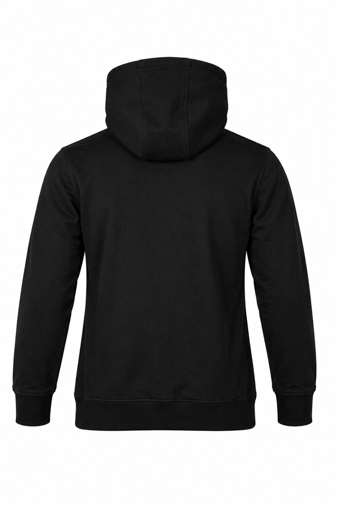 AP1533 - BRUNSWICK MENS HOODIES - 1533 - 3.png