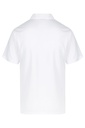 AP1307 - BOTANY MENS POLOS - 1307 - 3.jpg