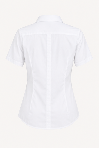 AP2910S - KINGSWOOD LADY SHIRT SHORT SLEEVE - 2910S - 3.png