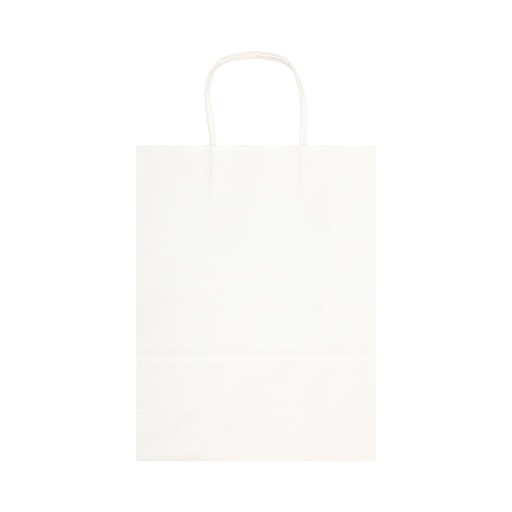 Express Paper Bag Large
