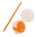 Silicone Straw in Case