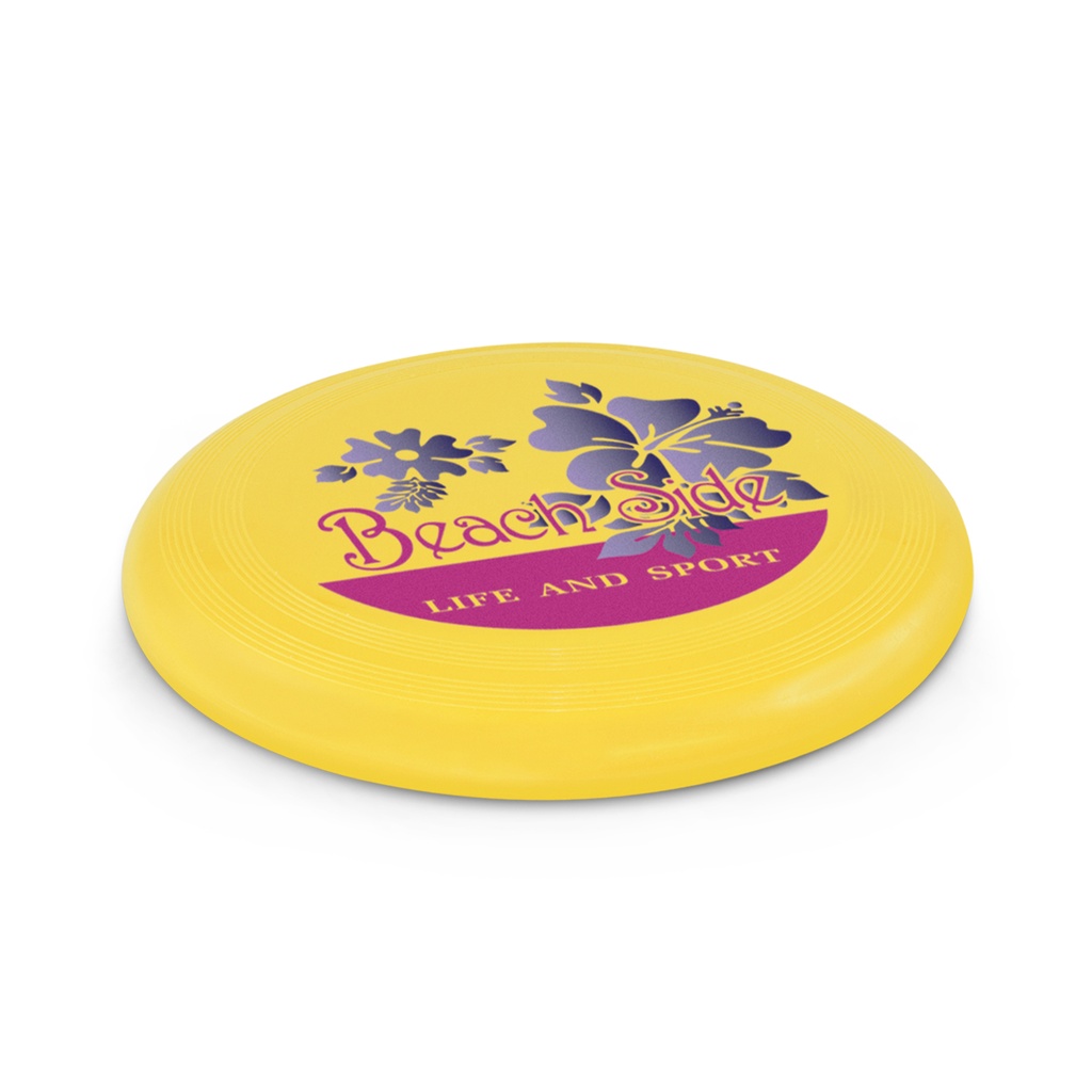 [TR100186] Small Flyer