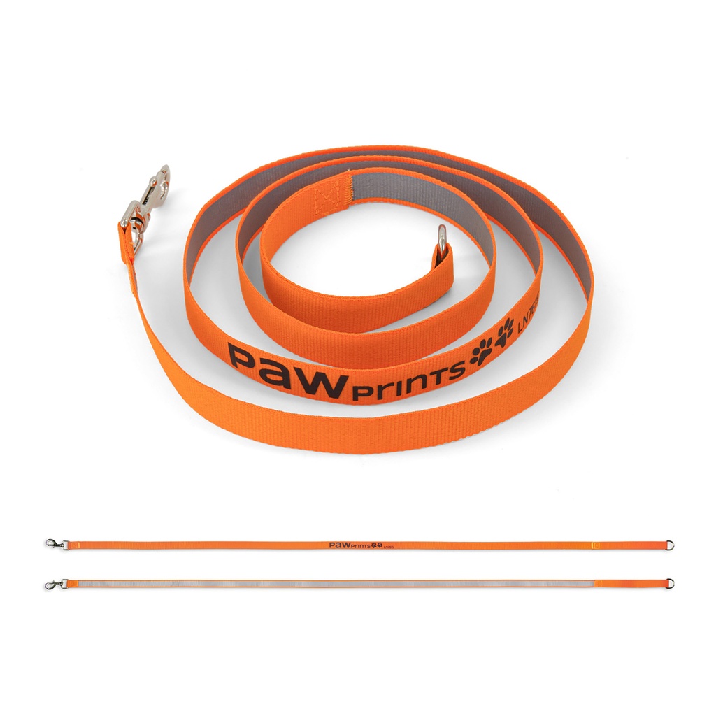 [LN7615] Printed Dog Lead