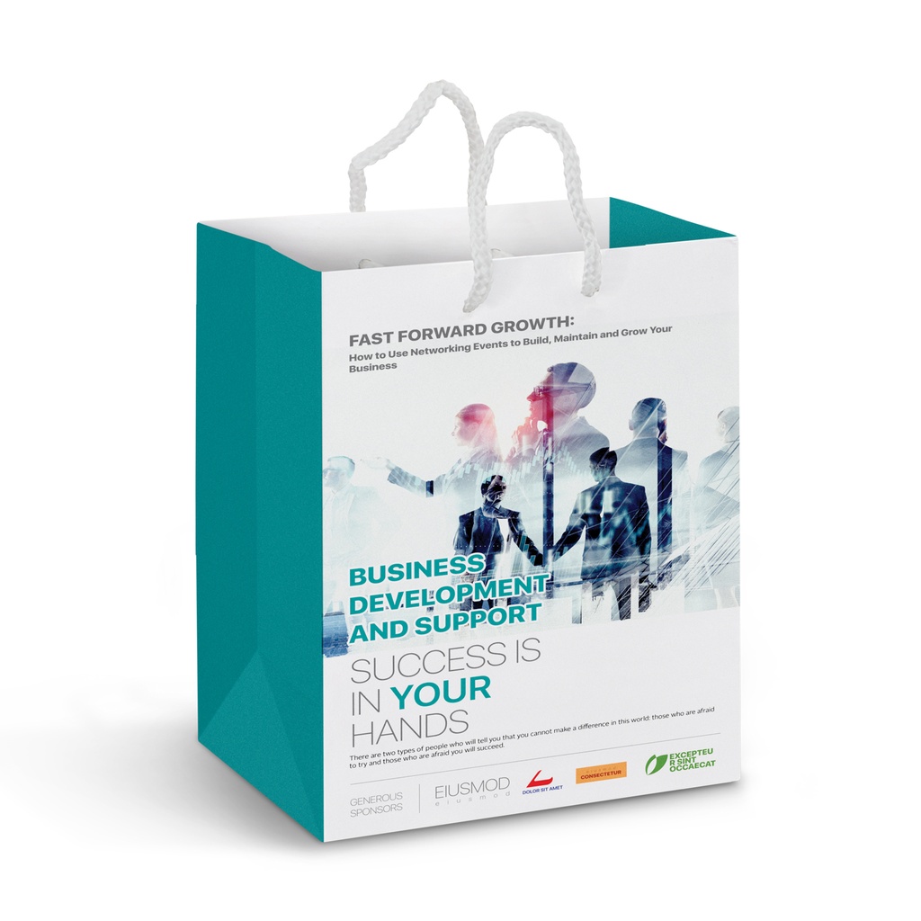 [TR116936] Medium Laminated Paper Carry Bag - Full Colour
