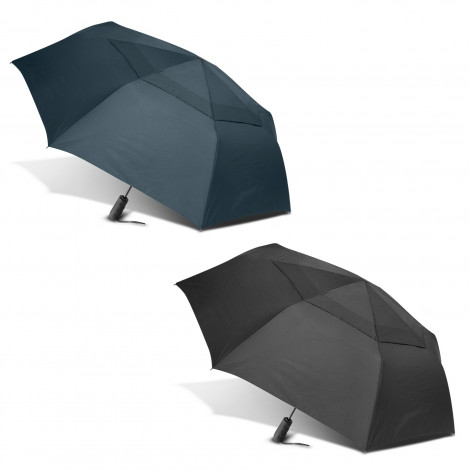 [TR120307] Director Umbrella
