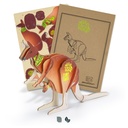 BRANDCRAFT Kangaroo Wooden Model