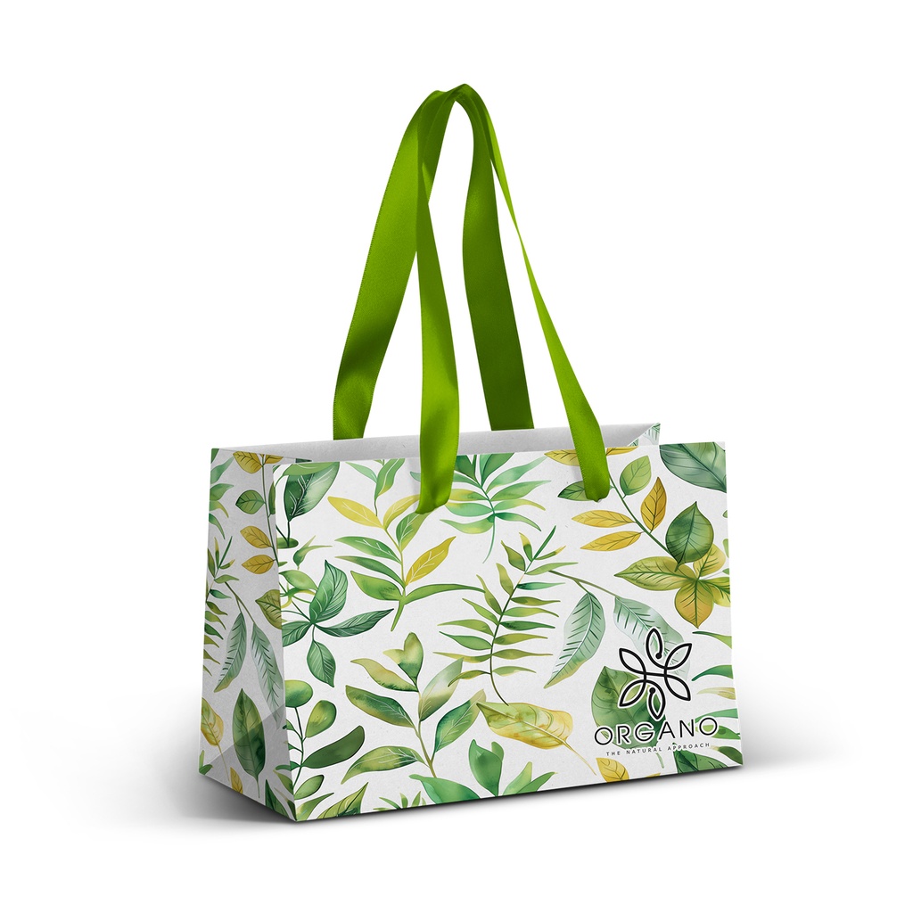 [TR127177] Small Ribbon Handle Paper Bag - Full Colour