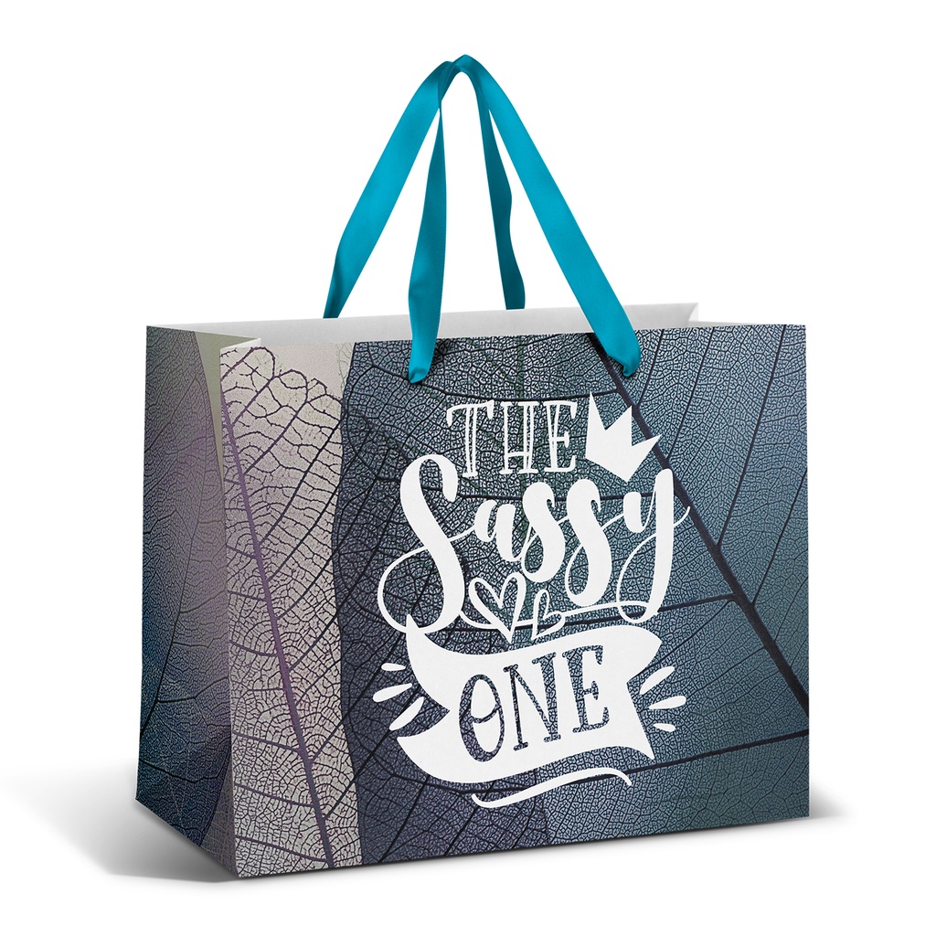 [TR127179] Large Ribbon Handle Paper Bag - Full Colour